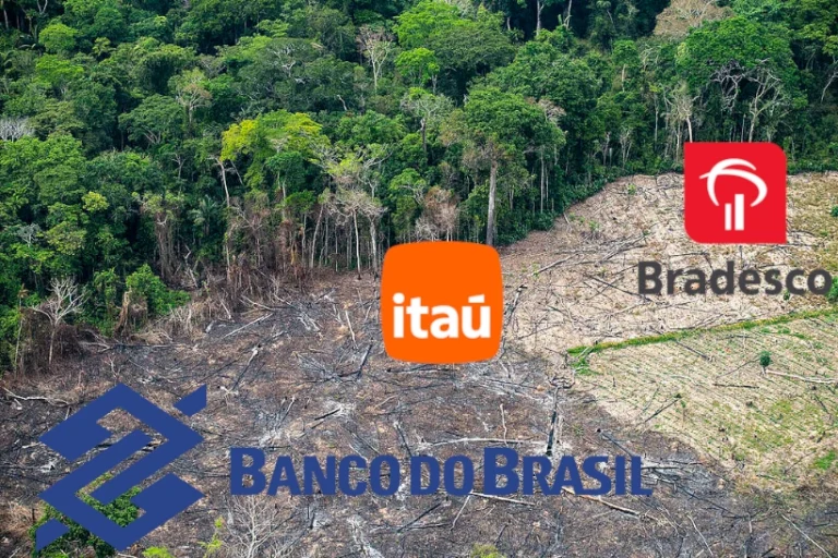 bancos financiamento desmatamento