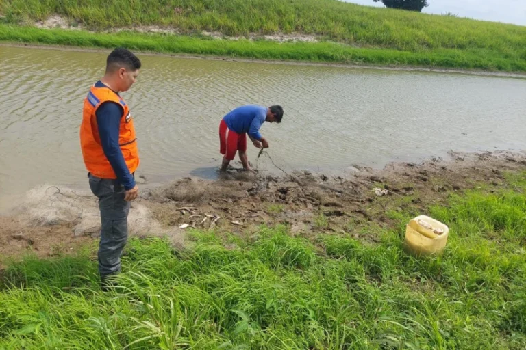 rio Negro seca