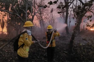Brasil opiniões tragédias climáticas