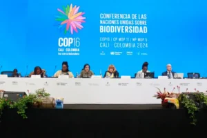 COP16 de biodiversidade termina sem acordo sobre financiamento para o meio ambiente