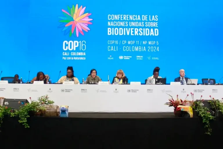COP16 de biodiversidade termina sem acordo sobre financiamento para o meio ambiente