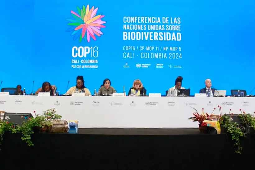 COP16 de biodiversidade termina sem acordo sobre financiamento para o meio ambiente