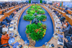 COP29 frustrada com G20