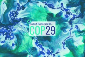 COP29 mercado de carbono 2