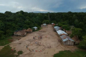 MPF suspender projeto crédito de carbono governo do Amazonas