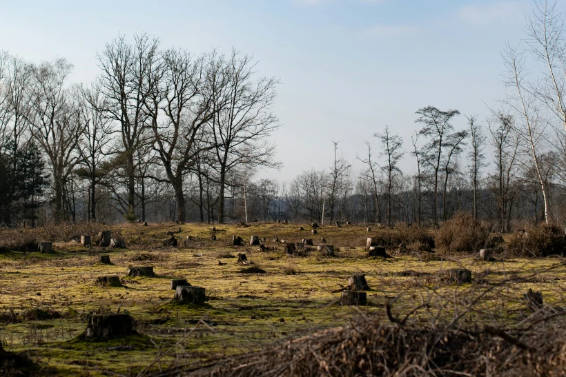 agronegócio antiambiental