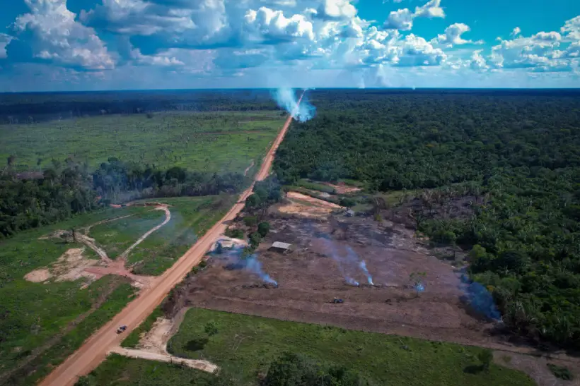 desmatamento baixa emissões brasileiras maior queda em 15 anos 2023