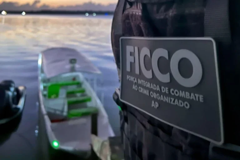 Amazônia Legal crime organizado