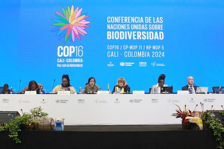 COP16 Biodiversidade retomada destravar financiamento