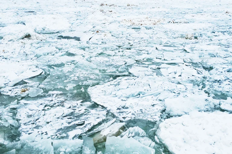 Degelo acelerado torna tundra ártica uma fonte de emissão de gases de efeito estufa