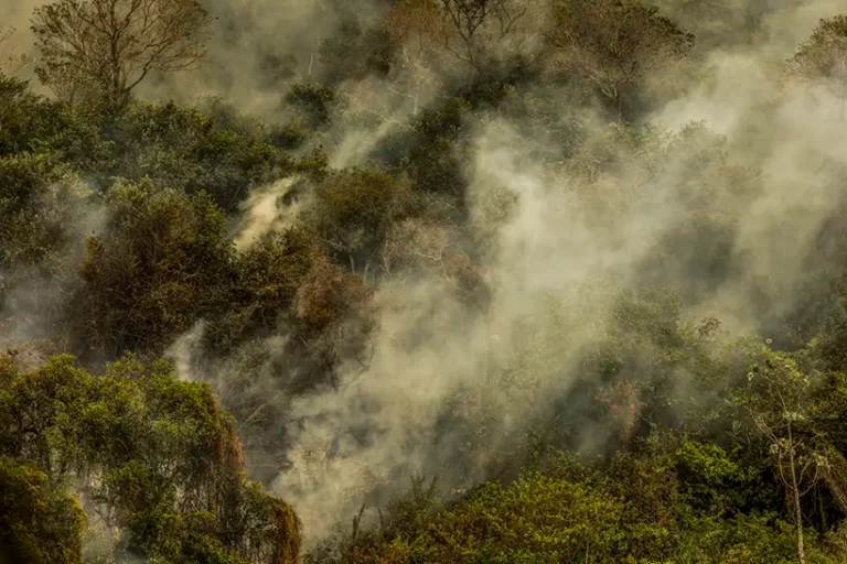 Governo federal dá a partida a estratégias de combate ao desmatamento no Pantanal e na Caatinga