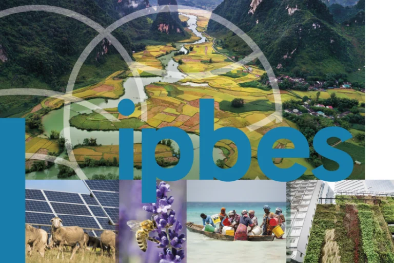 Mudanças climáticas levarão a perda irreversível da biodiversidade, aponta IPBES