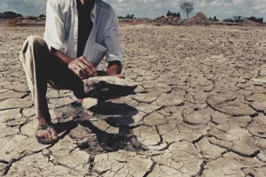Mundo investir 1 bilhão por dia contra a desertificação