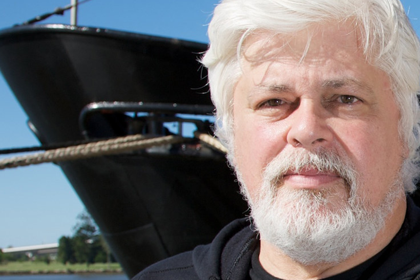Paul Watson é libertado pela Dinamarca, que nega sua extradição para o Japão
