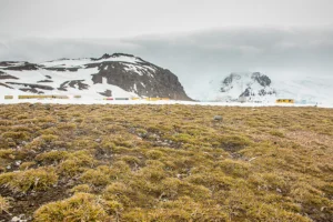Terras áridas agora cobrem 40% do solos do planeta, excluindo a Antártica