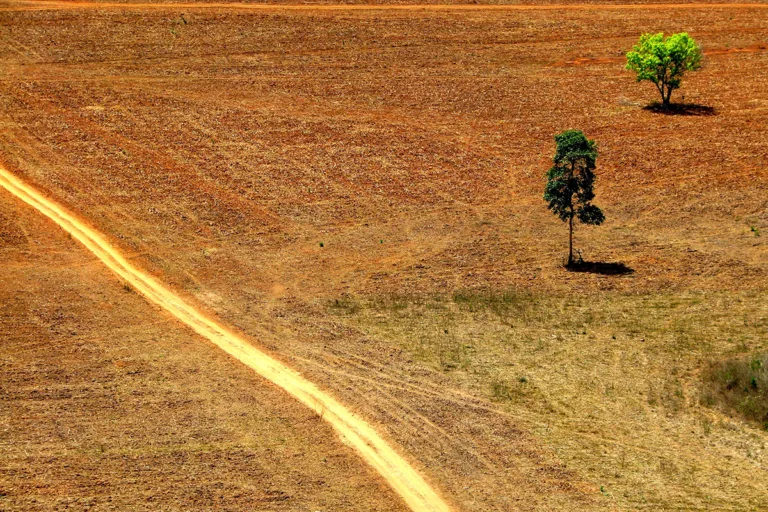 bancos públicos e privados desmatamento amazônia