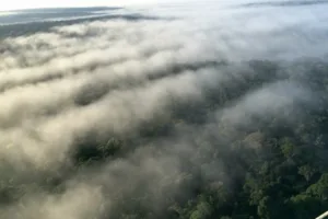 desmatamento da amazônia desregula regime de chuvas na região, confirma estudo