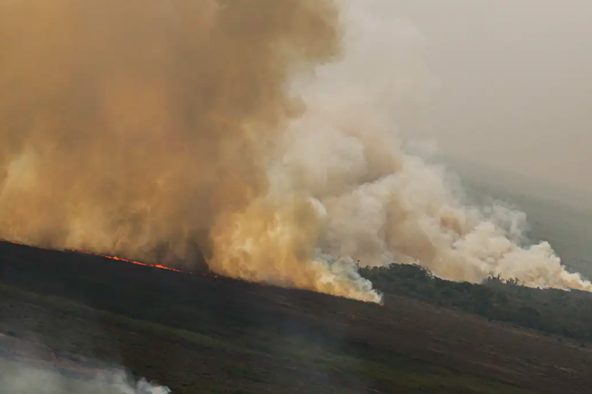 dino plano contra incêndios amazônia pantanal