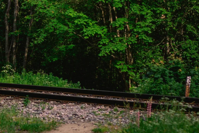 ferrogrão