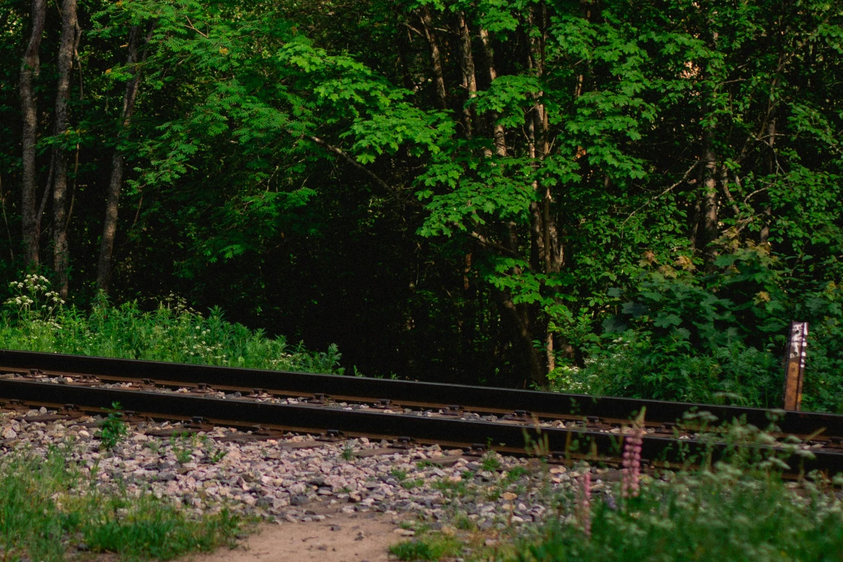 ferrogrão