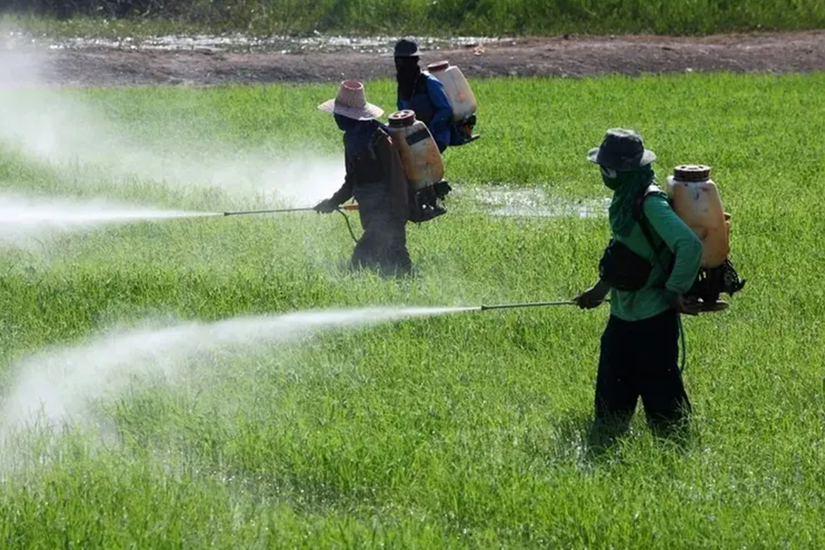 mato grosso lei uso agrotóxicos nascentes
