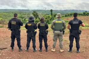 pf ibama apuí desmatamento ilegal