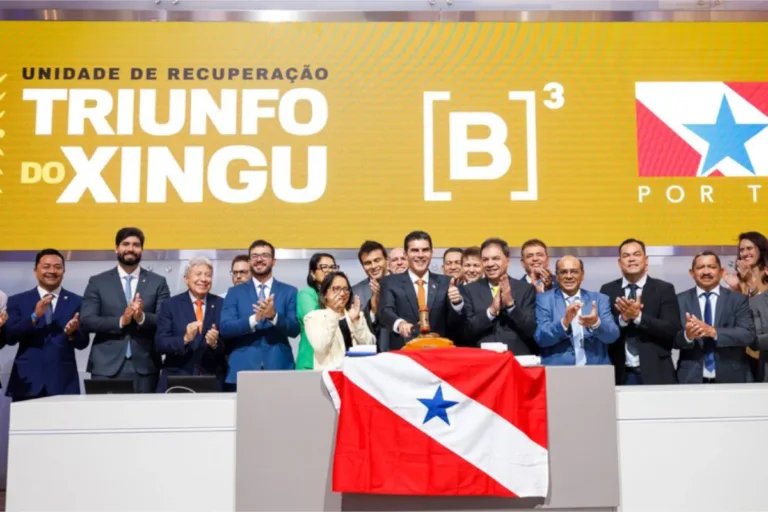 reflorestamento da amazônia