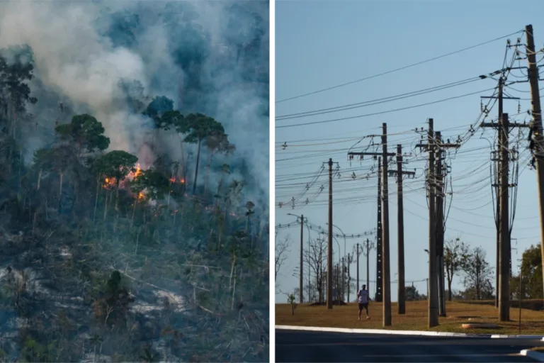 desmatamebto amazônia energia