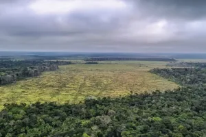 desmatamento amazônia sobe
