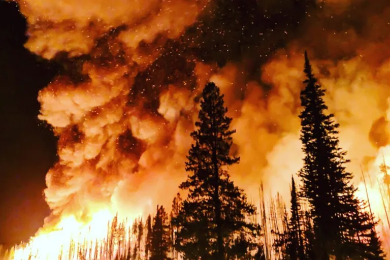 renda média global aumento da temperatura