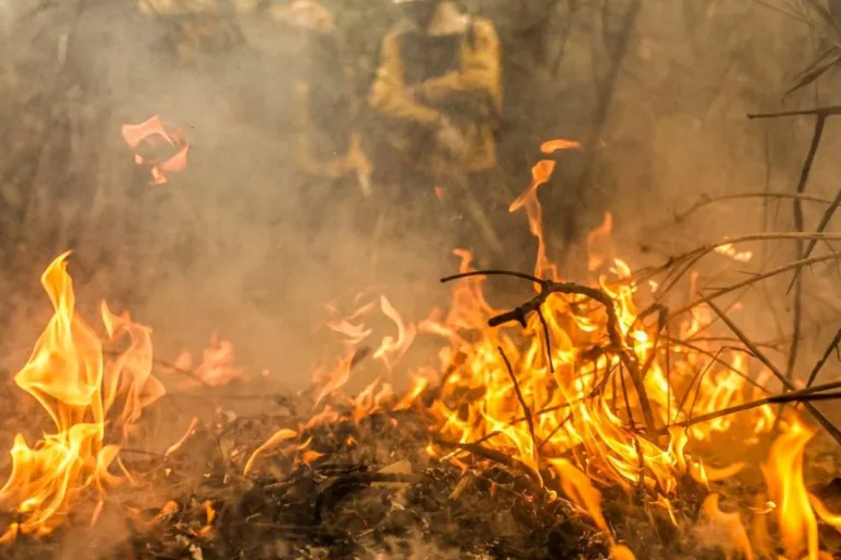 stf desapropriação terras incêndios desmatamento ilegal