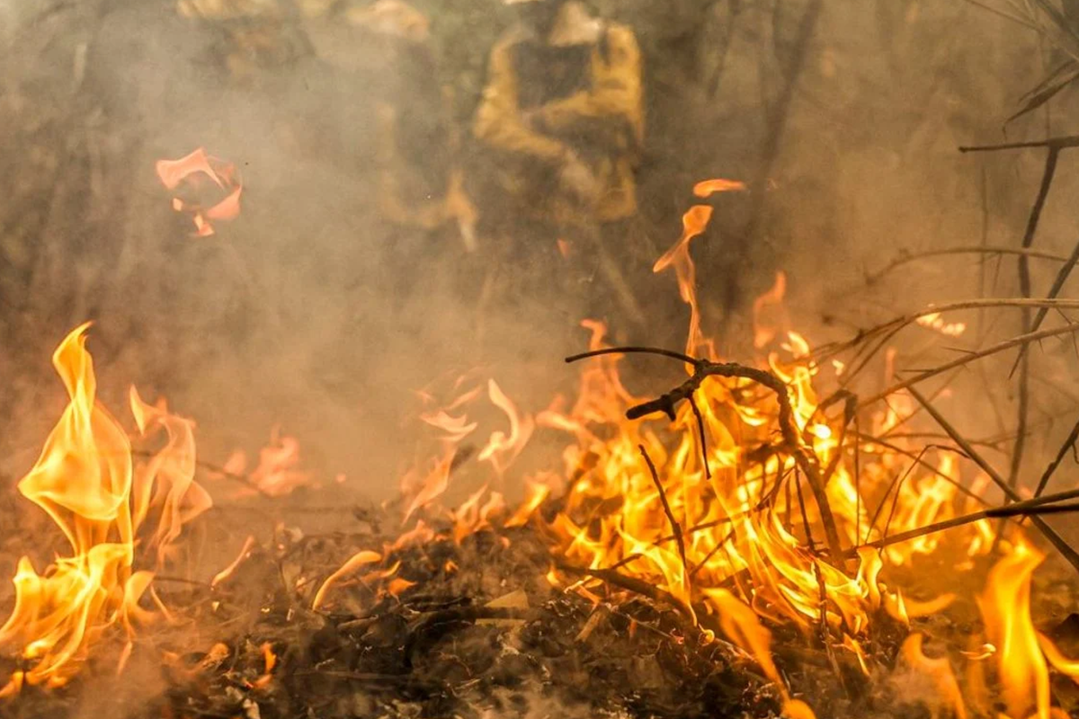 stf desapropriação terras incêndios desmatamento ilegal