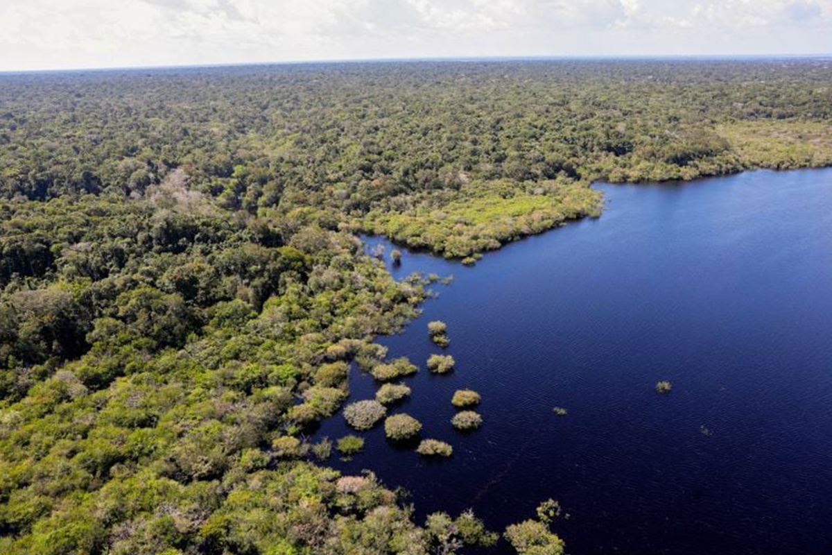 brasileiros risco mudanças climáticas negacionista