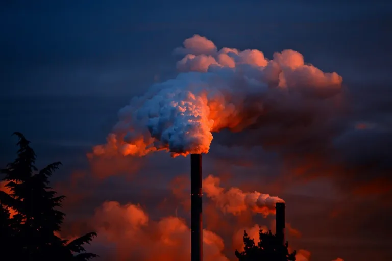 cop30 combustíveis fósseis