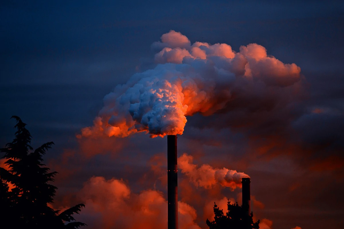 cop30 combustíveis fósseis