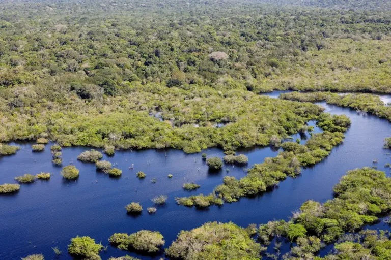 desmatamento caiu biomas brasileiros 2024