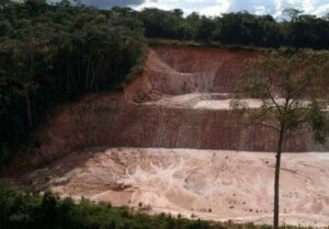 desmatamento mata atlântica.webp