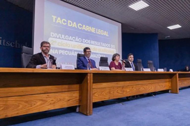 mpf acordo gado áreas desmatadas ilegalmente