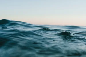 acidificação dos oceanos