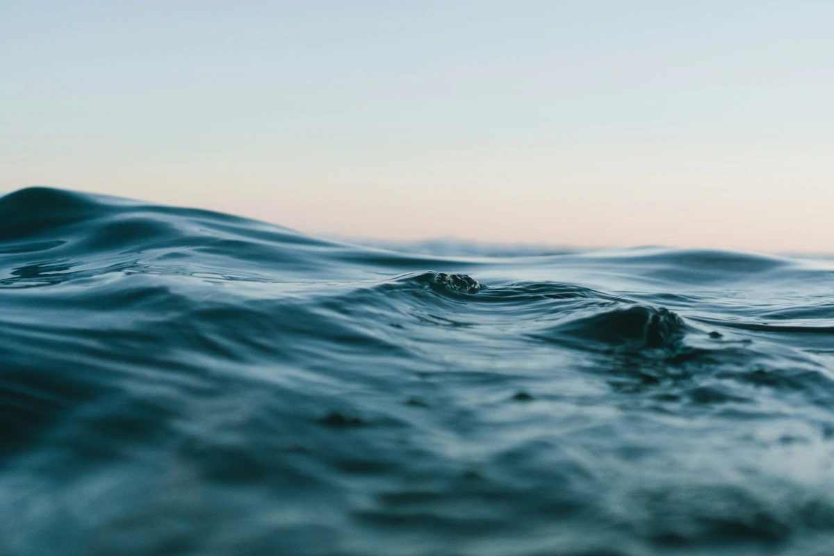 acidificação dos oceanos