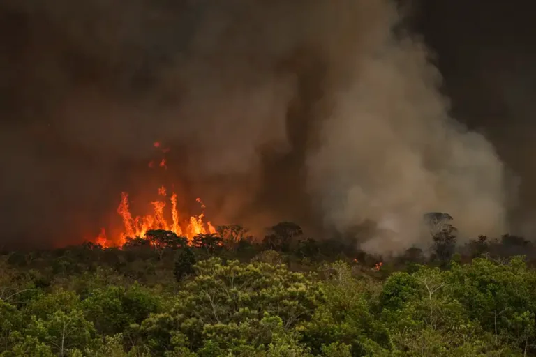 amazônia teve aumento de 9% no desmatamento entre agosto de 2024 e maio de 2025