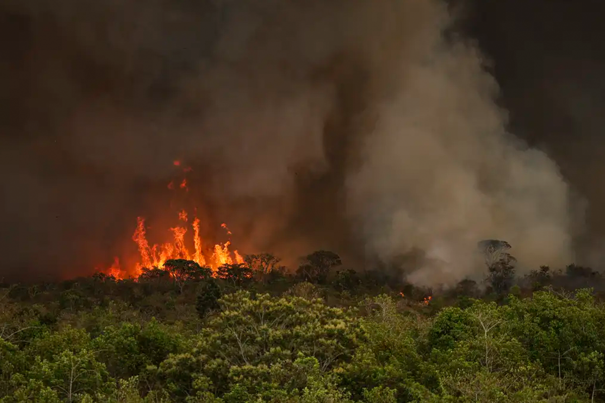 amazônia teve aumento de 9% no desmatamento entre agosto de 2024 e maio de 2025