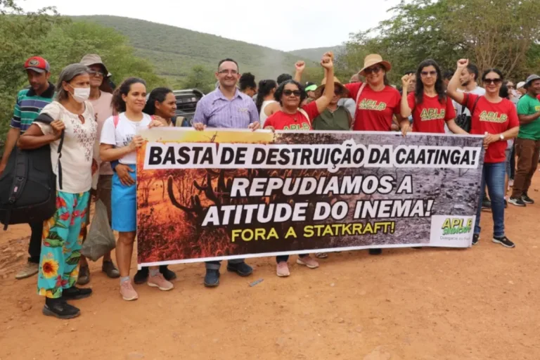 caatinga eólicas