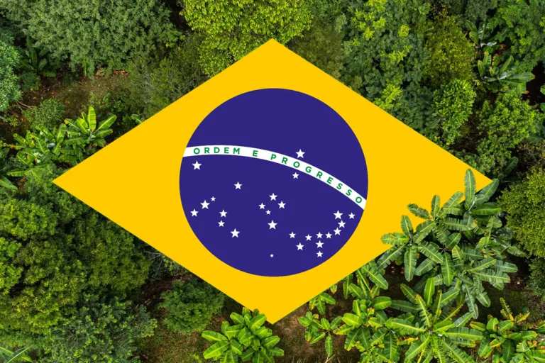 estudo aponta vantagens do brasil em transição energética e descarbonização econômica