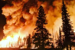 fumaça incêndios florestais canadá