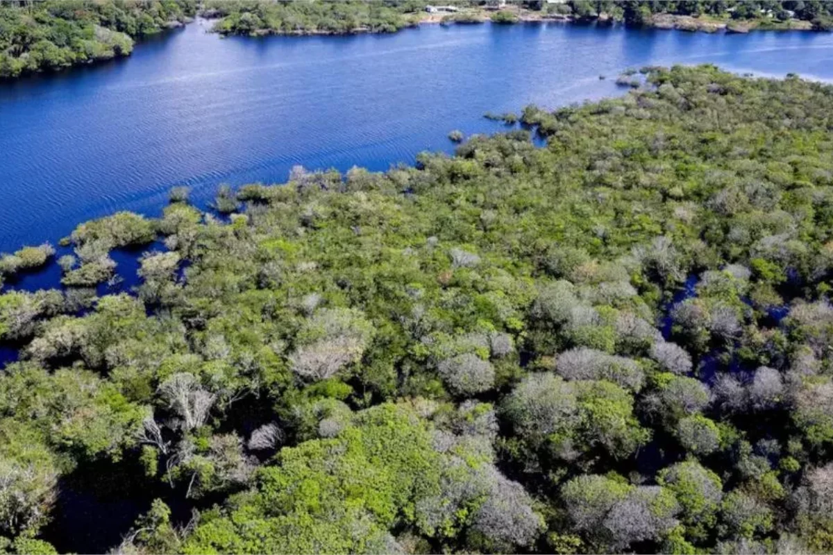 fundo amazônia