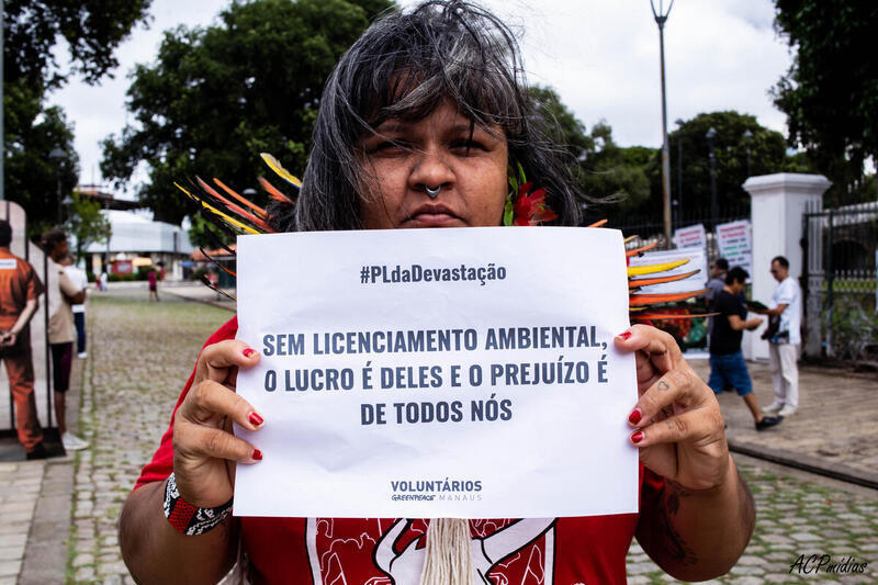 pl-devastacao