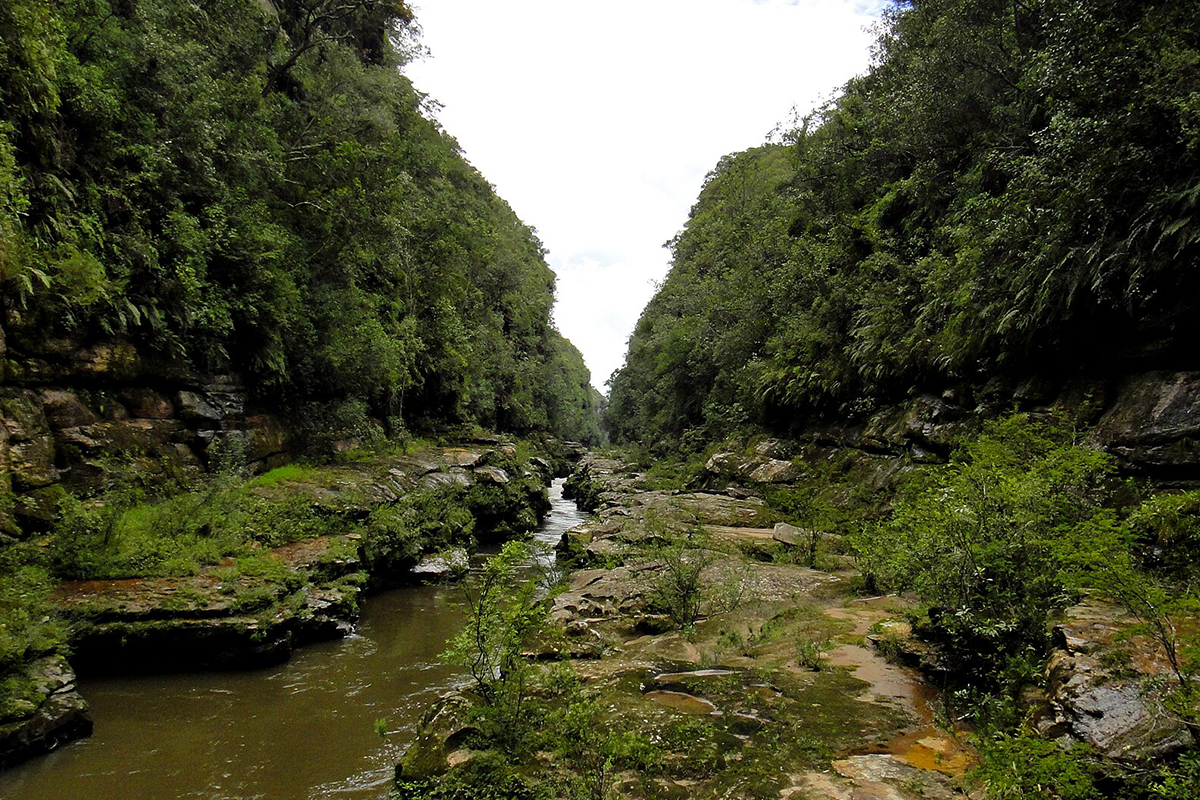 perda vazão dos rios cerrado