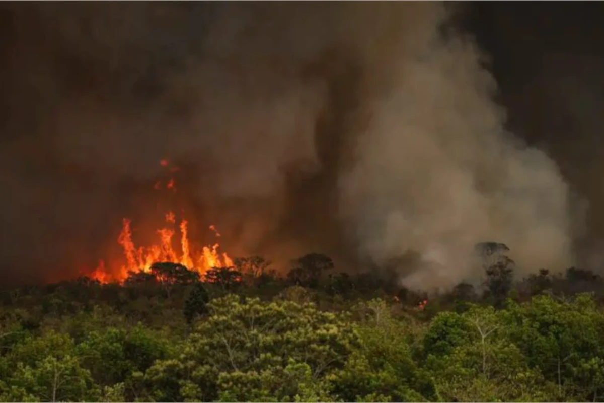 queimadas incêndios florestais