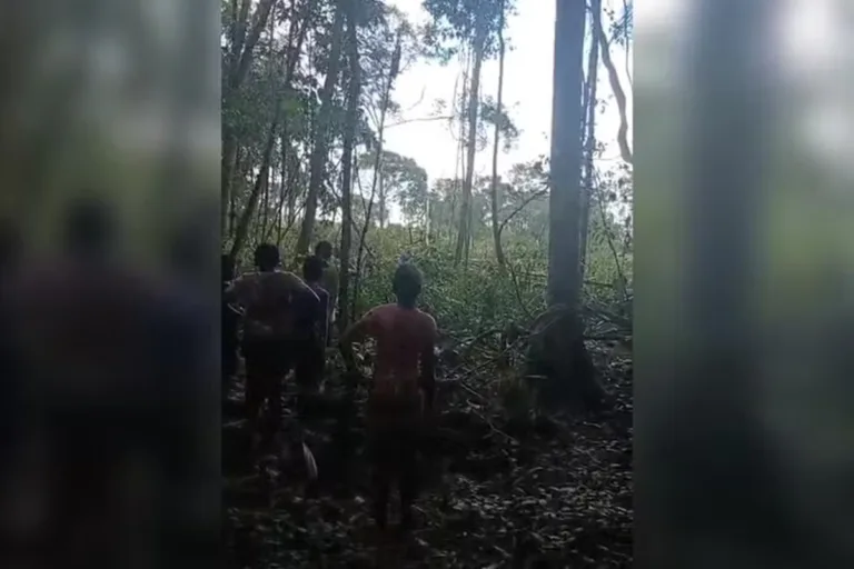 quilombolas denunciam invasões com petróleo na foz do amazonas